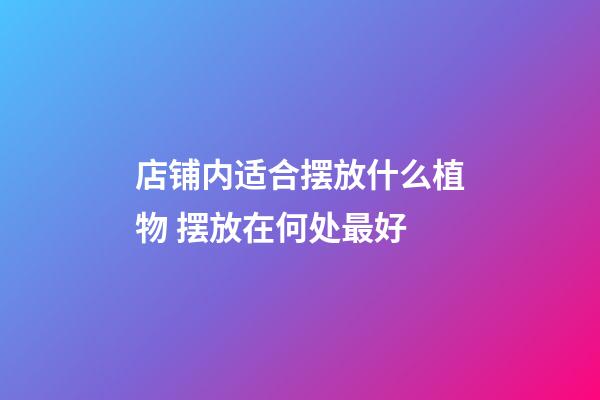 店铺内适合摆放什么植物 摆放在何处最好